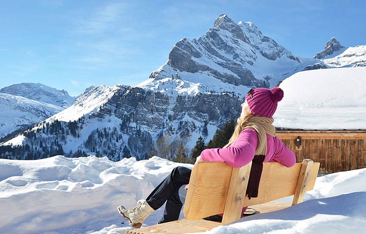 Excursión a los Alpes suizos